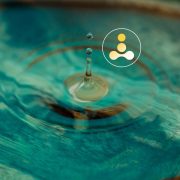 sinhasi_home_page_zen_of_investing sinhasi_home_page_zen_of_investing